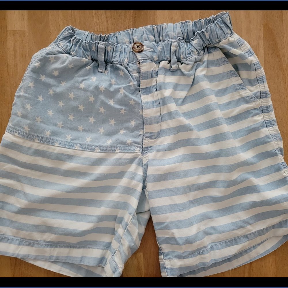 Chubbies American Flag shorts